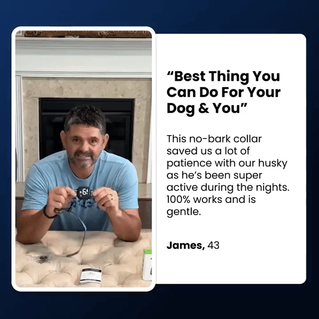 Train Without Harm: A Safe and Humane Anti-Bark Dog Collar