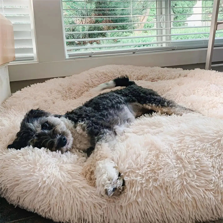MrFluffyFriend™ - World's #1 Anxiety Relieving Dog Bed