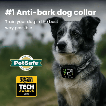Train Without Harm: A Safe and Humane Anti-Bark Dog Collar