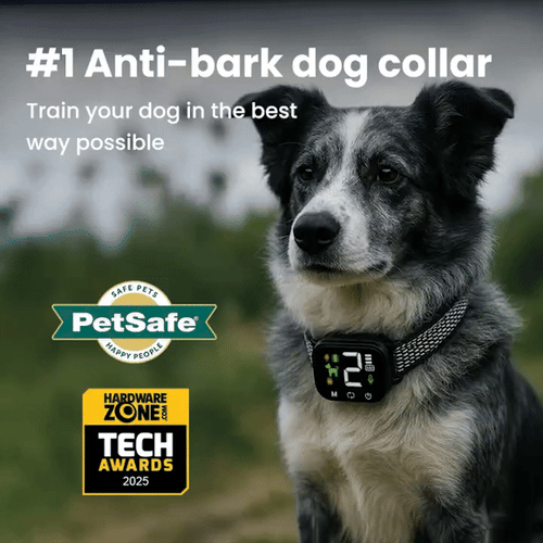 Train Without Harm: A Safe and Humane Anti-Bark Dog Collar