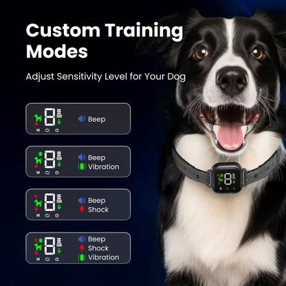 Train Without Harm: A Safe and Humane Anti-Bark Dog Collar