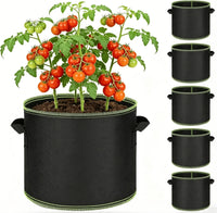 5 Pack & SAVE $5 + Free Shipping