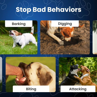 Train Without Harm: A Safe and Humane Anti-Bark Dog Collar