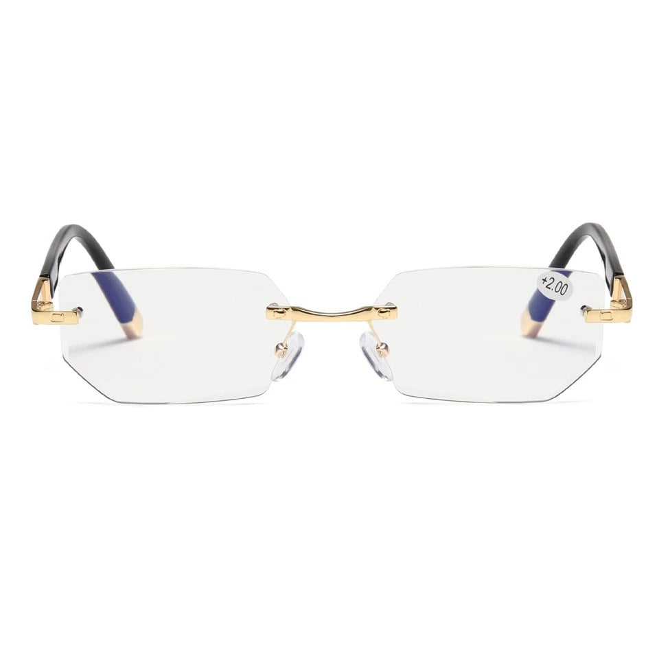 VisionPro™